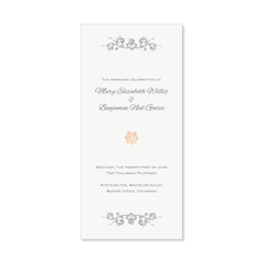 The Provence Program