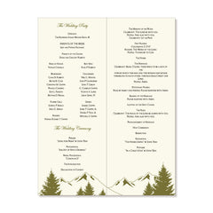 The Vail Program